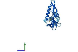 AlphaFold protein structure predicition of Mouse Recombinant Kcnmb4 Protein, UniprotID Q9JIN6