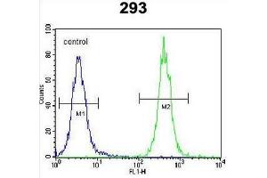 CC85C Antibody (N-term) flow cytometric analysis of 293 cells (right histogram) compared to a negative control cell (left histogram). (CCDC85C anticorps  (N-Term))