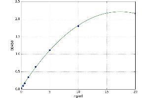Chymase 1, Mast Cell (CMA1) ELISA Kit