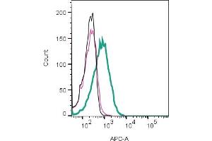 Cell surface detection of IGSF8 by indirect flow cytometry in live intact human Jurkat T-cell leukemia cell line: + goat-anti-rabbit-APC. (IGSF8 anticorps  (Extracellular))