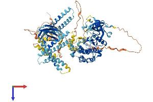 AlphaFold protein structure predicition of Mouse Recombinant Pkn3 Protein, UniprotID Q8K045