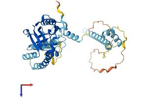 AlphaFold protein structure predicition of Mouse Recombinant Aup1 Protein, UniprotID P70295