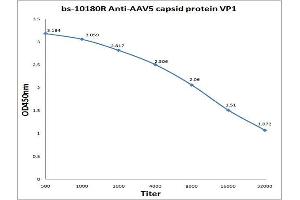 Antigen: 0. (AAV VP1 anticorps)