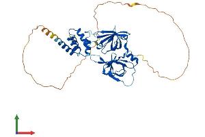 AlphaFold protein structure predicition of Mouse Recombinant Pyhin1 Protein, UniprotID Q8BV49