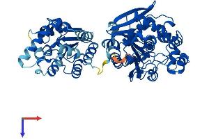 AlphaFold protein structure predicition of Mouse Recombinant Ephx2 Protein, UniprotID P34914