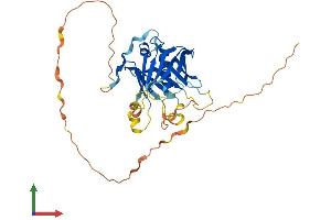 AlphaFold protein structure predicition of Mouse Recombinant Plscr1 Protein, UniprotID Q9JJ00