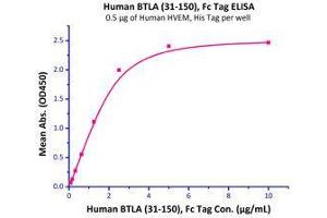 Immobilized Human HVEM, His Tag (Cat # HVM-H52E9) at 5 μg/mL (100 μL/well) can bind Human BTLA (31-150), Fc Tag (Cat # BTA-H5256) with a linear range of 0.