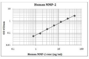 ELISA image for Matrix Metalloproteinase 2 (MMP2) ELISA Kit (ABIN5026923)