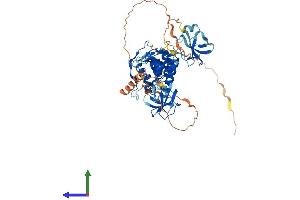 AlphaFold protein structure predicition of Mouse Recombinant Clip3 Protein, UniprotID B9EHT4