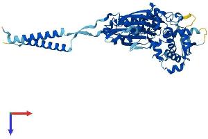AlphaFold protein structure predicition of Mouse Recombinant Entpd8 Protein, UniprotID Q8K0L2
