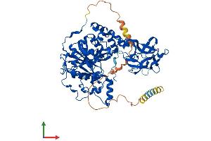 AlphaFold protein structure predicition of Mouse Recombinant Galnt7 Protein, UniprotID Q80VA0