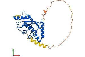 AlphaFold protein structure predicition of Human Recombinant UBE2S Protein, UniprotID Q16763