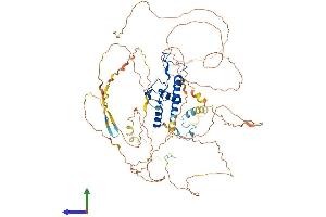 AlphaFold protein structure predicition of Human Recombinant DNTTIP2 Protein, UniprotID Q5QJE6