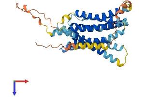AlphaFold protein structure predicition of Mouse Recombinant Slc39a13 Protein, UniprotID Q8BZH0