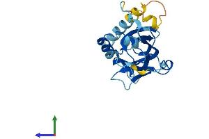 AlphaFold protein structure predicition of Mouse Recombinant Arhgdig Protein, UniprotID Q62160