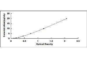Typical standard curve (TLR8 Kit ELISA)