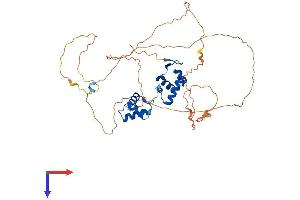 AlphaFold protein structure predicition of Human Recombinant PAX8 Protein, UniprotID Q06710