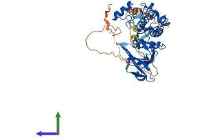 AlphaFold protein structure predicition of Human Recombinant STK17A Protein, UniprotID Q9UEE5
