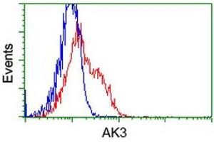 HEK293T cells transfected with either RC204408 overexpress plasmid (Red) or empty vector control plasmid (Blue) were immunostained by anti-AK3 antibody (ABIN2452718), and then analyzed by flow cytometry. (Adenylate Kinase 3 anticorps)