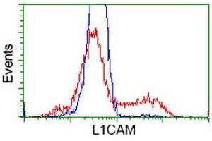 Flow Cytometry (FACS) image for anti-L1 Cell Adhesion Molecule (L1CAM) antibody (ABIN1499083) (L1CAM anticorps)