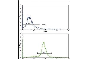 Flow cytometric analysis of ATDC5 cells using OTC Antibody (Center)(bottom histogram) compared to a negative control (top histogram).