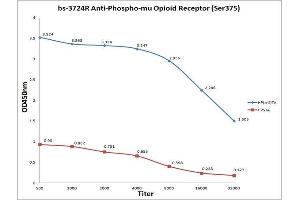 Antigen: Phospho Mu Opioid Receptor (blue line), 0. (Mu Opioid Receptor 1 anticorps  (pSer375))
