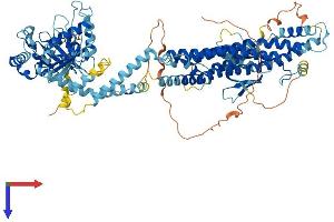 AlphaFold protein structure predicition of Mouse Recombinant Dnm1 Protein, UniprotID P39053