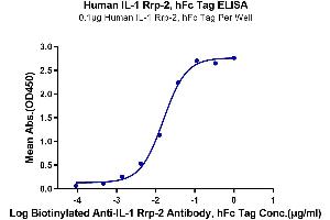 Immobilized Human IL-1 Rrp-2, hFc Tag at 1 μg/mL (100 μL/well) on the plate.