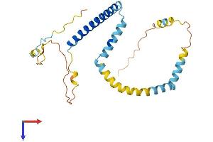 AlphaFold protein structure predicition of Human Recombinant TPD52 Protein, UniprotID P55327