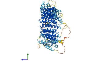 AlphaFold protein structure predicition of Mouse Recombinant Brat1 Protein, UniprotID Q8C3R1