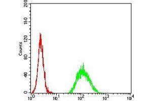 Flow cytometric analysis of Hela cells using ADAMTS1 mouse mAb (green) and negative control (red).
