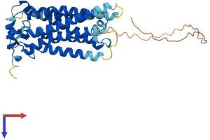 AlphaFold protein structure predicition of Human Recombinant S1PR2 Protein, UniprotID O95136