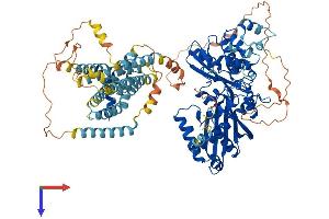 AlphaFold protein structure predicition of Human Recombinant HMGCR Protein, UniprotID P04035