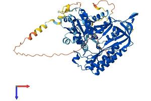 AlphaFold protein structure predicition of Human Recombinant CDK5RAP1 Protein, UniprotID Q96SZ6