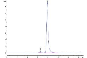 The purity of Cynomolgus EPHA5 is greater than 95 % as determined by SEC-HPLC.