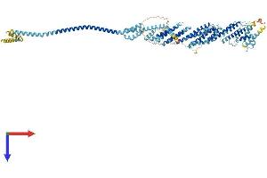 AlphaFold protein structure predicition of Mouse Recombinant Exoc6b Protein, UniprotID A6H5Z3