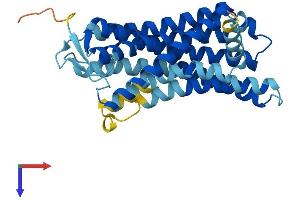 AlphaFold protein structure predicition of Human Recombinant OR2M4 Protein, UniprotID Q96R27
