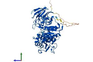 AlphaFold protein structure predicition of Mouse Recombinant Pnkp Protein, UniprotID Q9JLV6