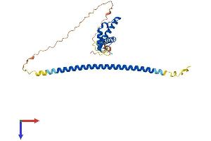 AlphaFold protein structure predicition of Human Recombinant MSANTD3 Protein, UniprotID Q96H12
