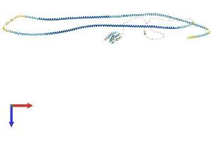 AlphaFold protein structure predicition of Human Recombinant CEP112 Protein, UniprotID Q8N8E3