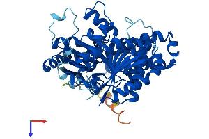 AlphaFold protein structure predicition of Mouse Recombinant Tubb6 Protein, UniprotID Q922F4