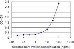 BCAP29 (Human) Matched Antibody Pair