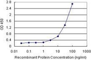 Sandwich ELISA detection sensitivity ranging from 10 ng/mL to 100 ng/mL. (BCAP29 (Humain) Matched Antibody Pair)