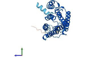 AlphaFold protein structure predicition of Human Recombinant ELOVL1 Protein, UniprotID Q9BW60