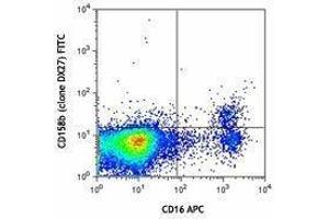 Flow Cytometry (FACS) image for anti-Killer Cell Immunoglobulin-Like Receptor, Two Domains, Long Cytoplasmic Tail, 3 (KIR2DL3) antibody (FITC) (ABIN2661521)
