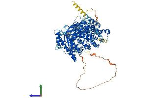 AlphaFold protein structure predicition of Mouse Recombinant Pik3c3 Protein, UniprotID Q6PF93