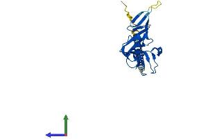 AlphaFold protein structure predicition of Human Recombinant CLEC4A Protein, UniprotID Q9UMR7