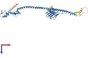AlphaFold protein structure predicition of Human Recombinant TRIM39 Protein, UniprotID Q9HCM9