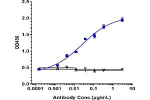 Immobilized human CD14, Fc Tag at 2 μg/mL can bind Anti-CD14 Reference Antibody (atibuclimab), EC50=0.