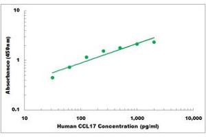 Representative Standard Curve (CCL17 Kit ELISA)